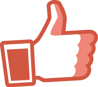 Contrat de formation